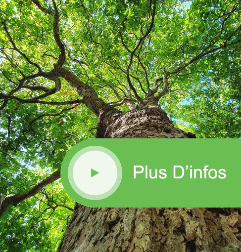 Plus d'infos