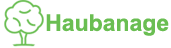 HAUBANAGE ARBORISTE